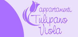 app-tulipanoviola-piccolo